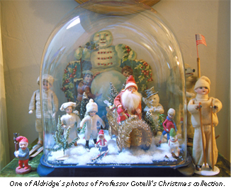 One of Aldridge's photos of Professor Gotelli's Christmas collection